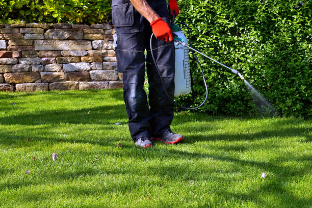 Reliable Millersburg, OR Pest Control Solutions